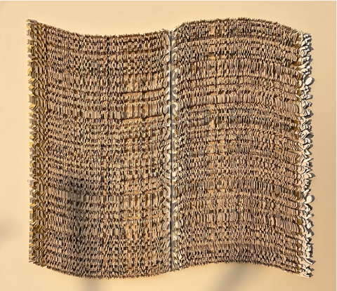 ANUSHREE RABADIA | Inscription
