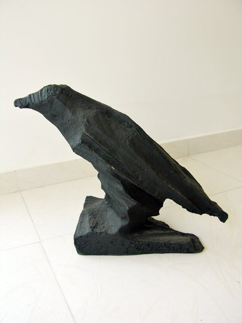 Amit Ambalal | Crow 3