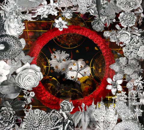 Ayesha Seth| Dissipation