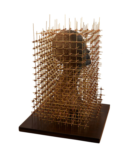 Bandana Jain | Restoration of Humanity | AOI26UAI019