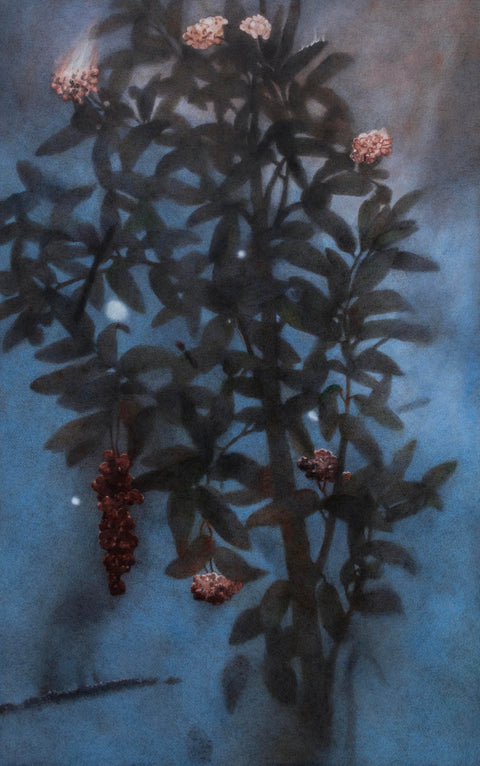 CHANDRA BHATTACHARJEE | Untitled