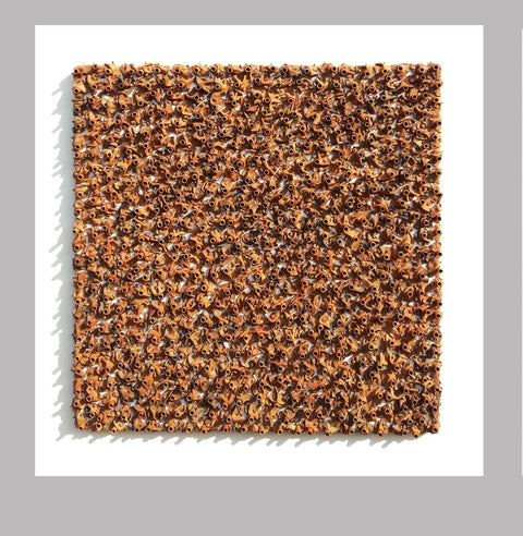 Vijaya Chauhan | Smart Association | AOI26LE023