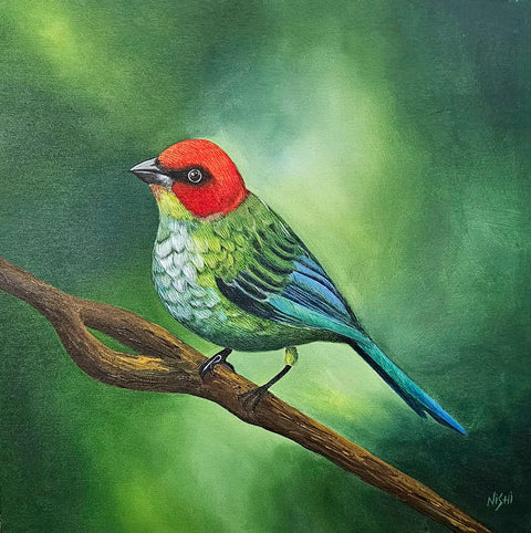 Nishi Malhotra | Harmony in Green | AOI26FB040