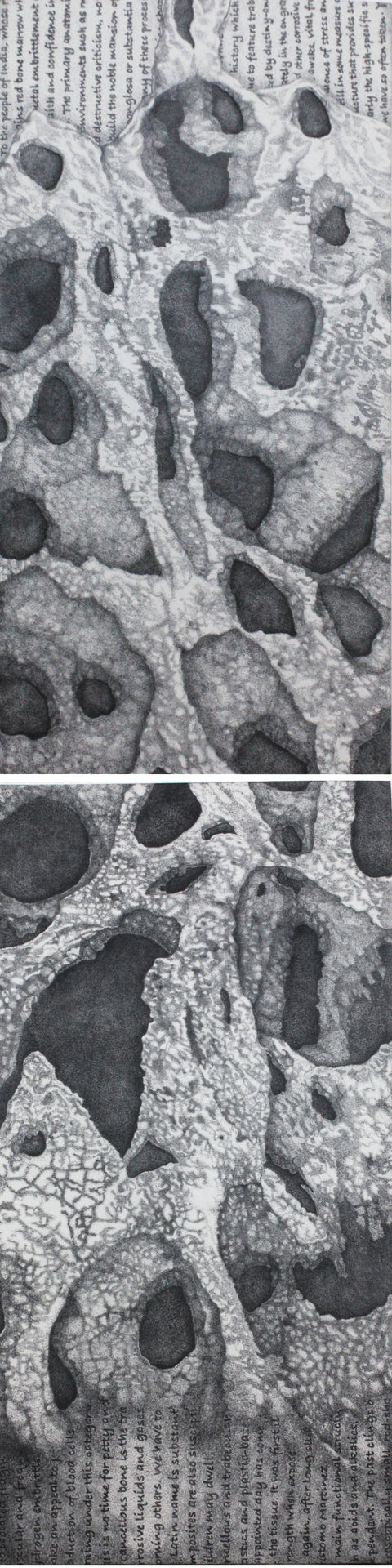 PARVATHY NAYYAR | To Know the Depths or Heights