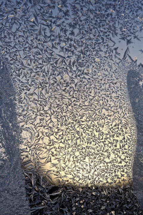 Prabir Purkayastha | Dheemahi 5