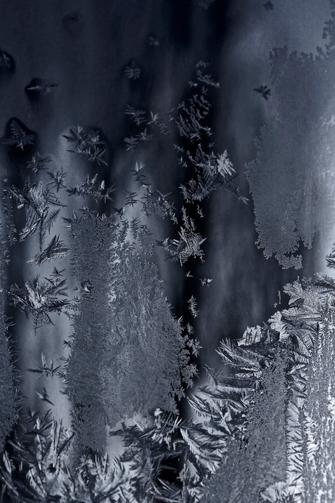 Prabir Purkayastha | Dheemahi 6