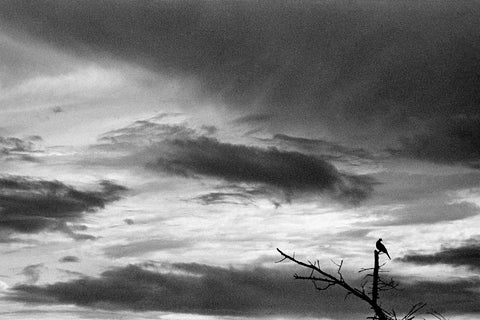 Prarthana Modi | Bali