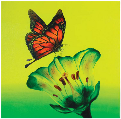 Sujat Roy | Butterfly Effect | AOI26NE040