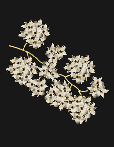 Shivangi Arora | Flowers in transition porcelain
