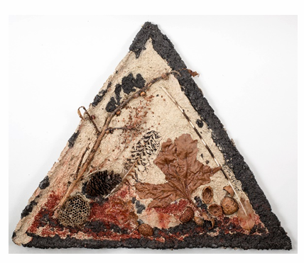 Shubhra Chaturvedi | Sair | AOI26NE012