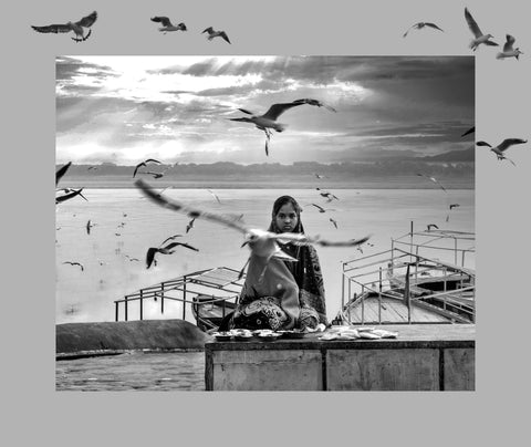 Sumiko Nanda | Birds of a Feather