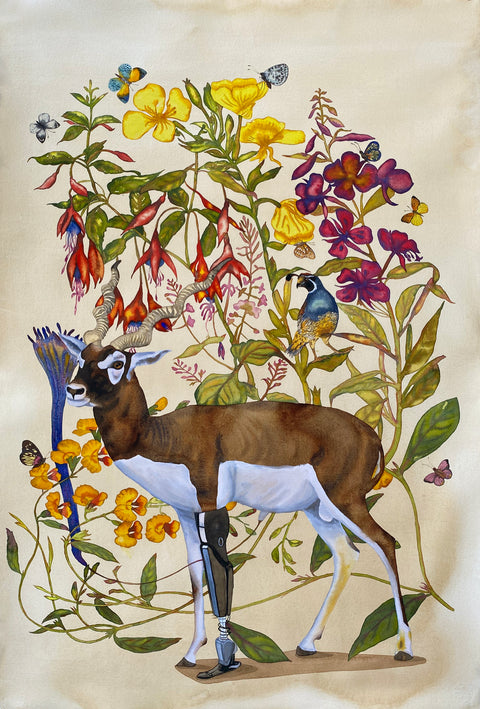 Manisha Agrawal | Untitled | AOI26NE024