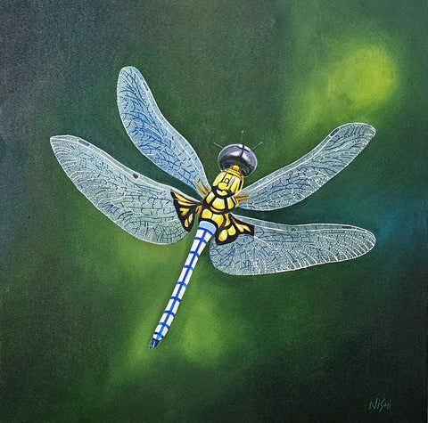 Nishi Malhotra | Wings of Wonder | AOI26FB041