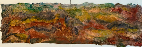 Ziya Tarapore | Red rock canyon | AOI26NE013