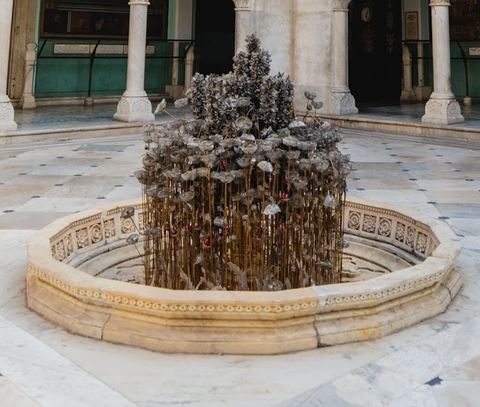 Wolf | Locked In | AOI26NE030