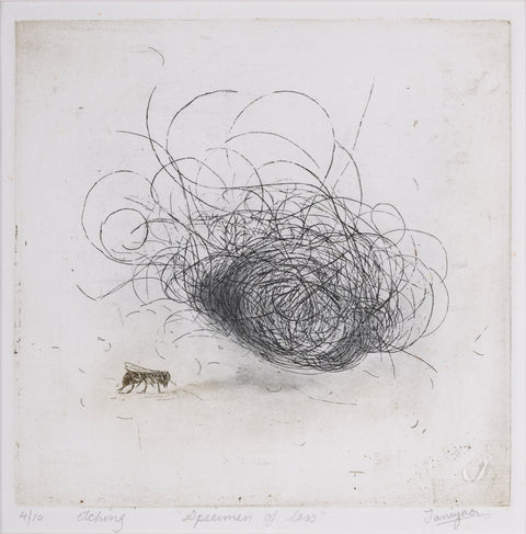 Specimens Of Loss (Hair)