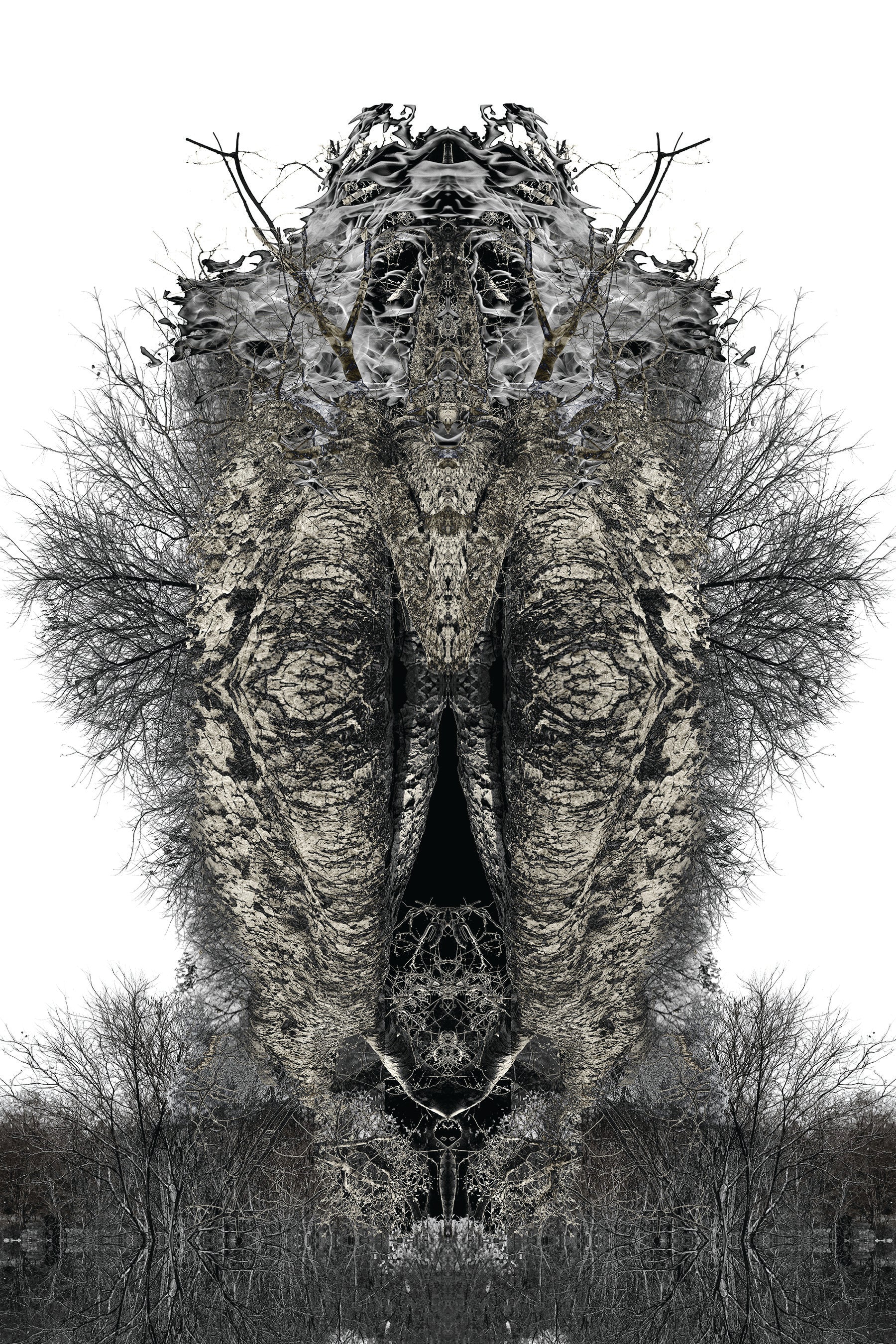 A Poetic Chaos