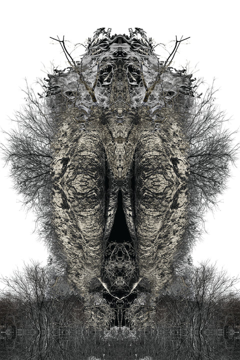 A Poetic Chaos