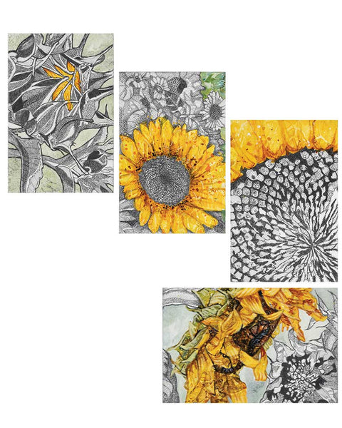 Sun Flower Series: Circle Of Life