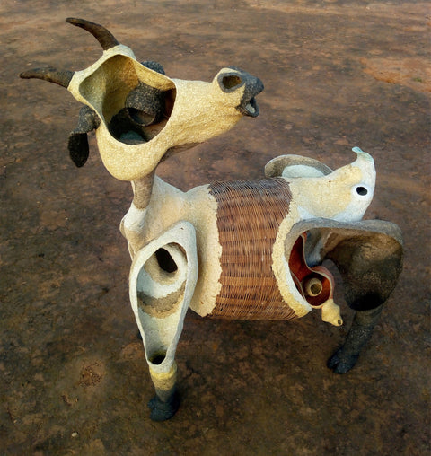 The Domestic Goat