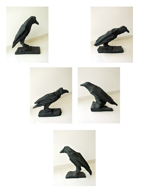Crows