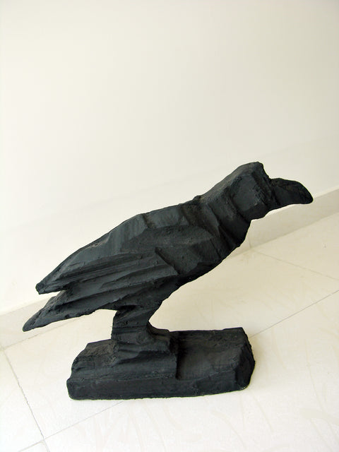 Amit Ambalal | Crow 2