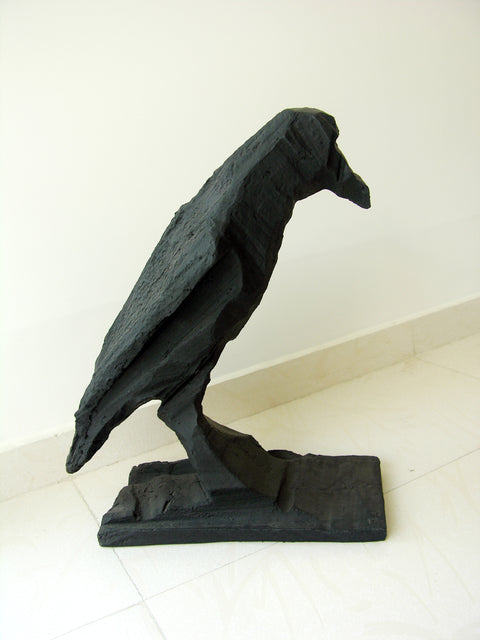 Amit Ambalal | Crow 1