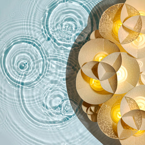 Ankon Mitra | Ripples of Reflection, Rumination and Reverie | AOI26LE001