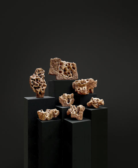 Ram Bali Prajapati | Untitled | AOI26LE018