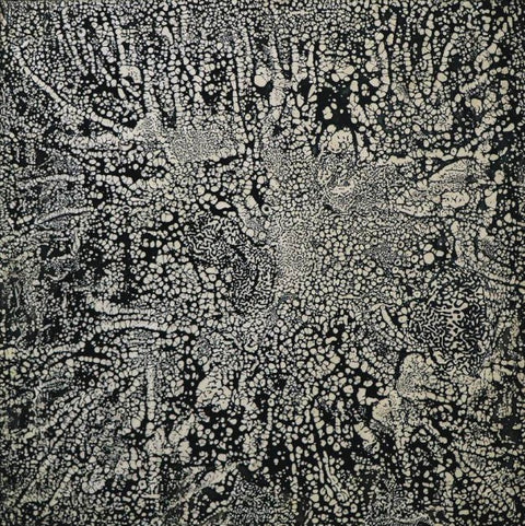 B.Jaya Lakshmi | Labyrinth of the roots | AOI26NE001