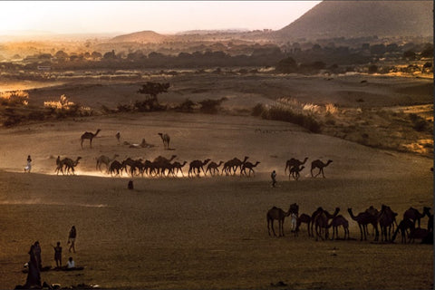 Sudhir Kasliwal | Untitled | AOI26NE007